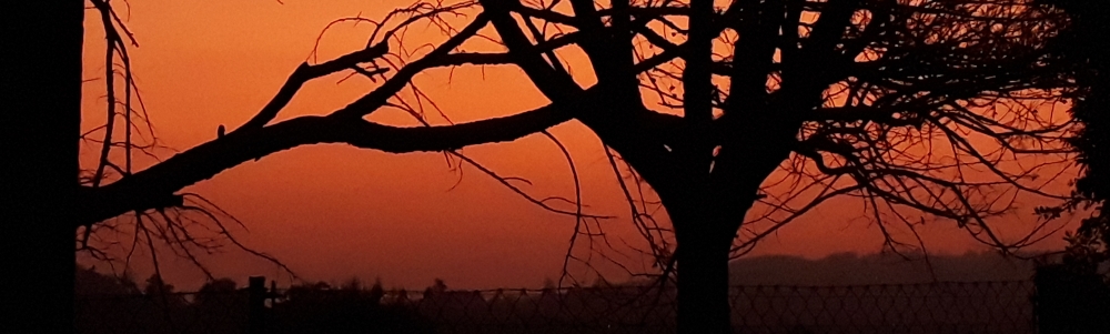User banner image